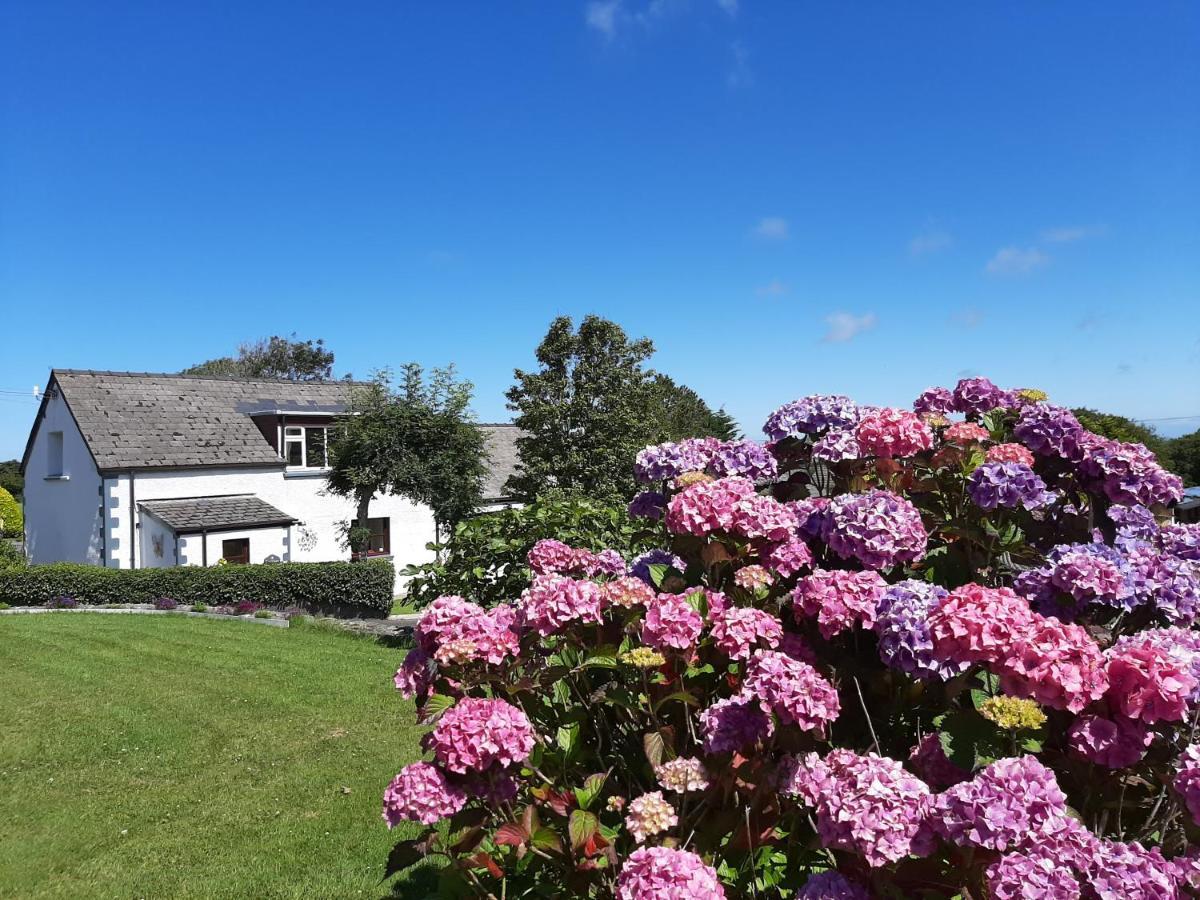 Trenewydd Farm Holiday Cottages Cardigan Zewnętrze zdjęcie