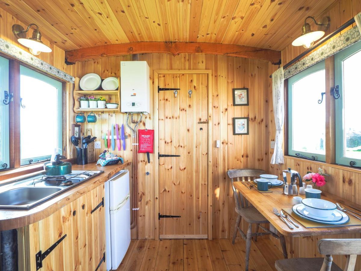 Trenewydd Farm Holiday Cottages Cardigan Zewnętrze zdjęcie